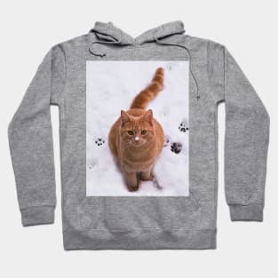 Ginger Kitten in Snow Hoodie